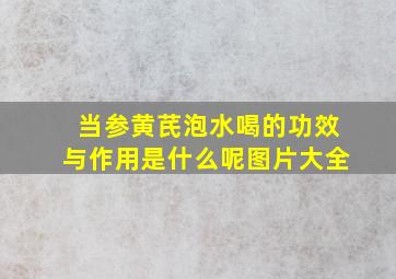 当参黄芪泡水喝的功效与作用是什么呢图片大全