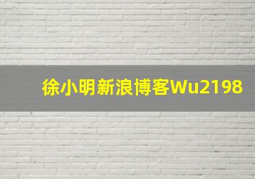 徐小明新浪博客Wu2198