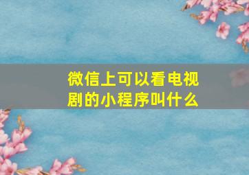 微信上可以看电视剧的小程序叫什么