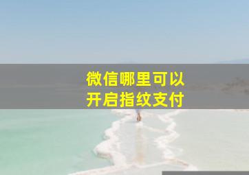 微信哪里可以开启指纹支付