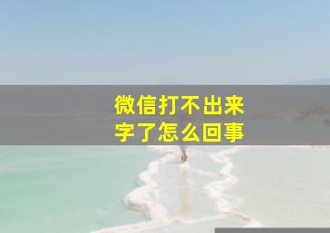 微信打不出来字了怎么回事