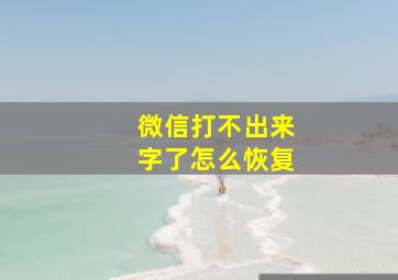 微信打不出来字了怎么恢复