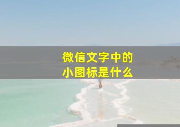 微信文字中的小图标是什么