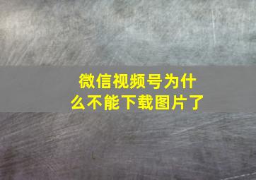 微信视频号为什么不能下载图片了