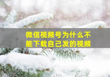 微信视频号为什么不能下载自己发的视频