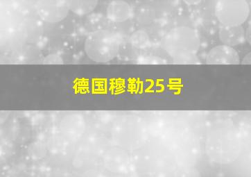 德国穆勒25号