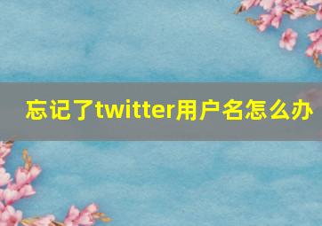 忘记了twitter用户名怎么办