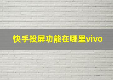 快手投屏功能在哪里vivo