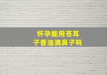 怀孕能用苍耳子香油滴鼻子吗