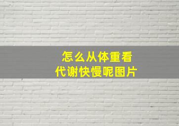 怎么从体重看代谢快慢呢图片