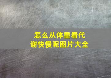 怎么从体重看代谢快慢呢图片大全