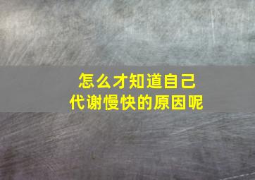 怎么才知道自己代谢慢快的原因呢