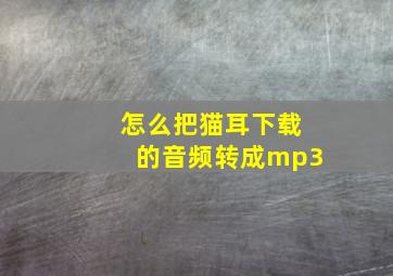 怎么把猫耳下载的音频转成mp3