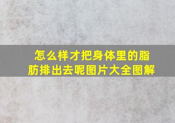 怎么样才把身体里的脂肪排出去呢图片大全图解