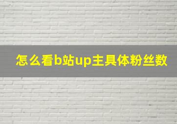 怎么看b站up主具体粉丝数