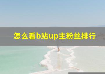 怎么看b站up主粉丝排行