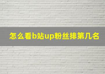 怎么看b站up粉丝排第几名