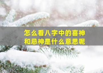 怎么看八字中的喜神和忌神是什么意思呢