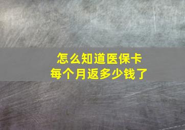 怎么知道医保卡每个月返多少钱了