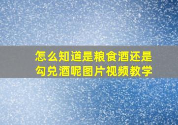 怎么知道是粮食酒还是勾兑酒呢图片视频教学