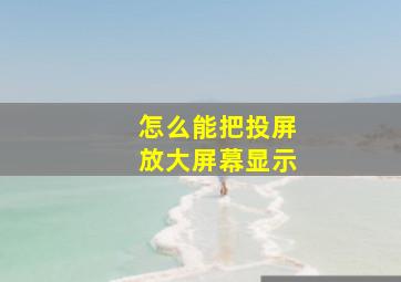 怎么能把投屏放大屏幕显示