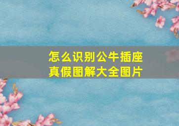 怎么识别公牛插座真假图解大全图片