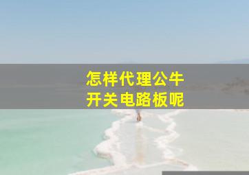 怎样代理公牛开关电路板呢