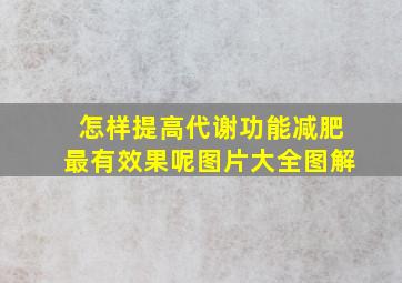 怎样提高代谢功能减肥最有效果呢图片大全图解