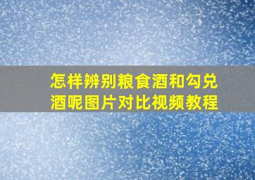 怎样辨别粮食酒和勾兑酒呢图片对比视频教程