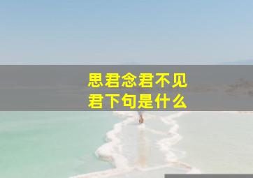 思君念君不见君下句是什么