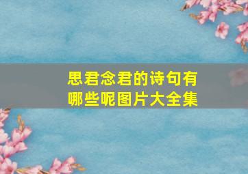 思君念君的诗句有哪些呢图片大全集