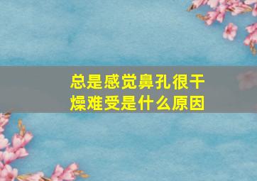 总是感觉鼻孔很干燥难受是什么原因