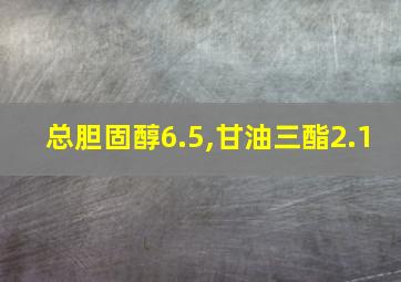 总胆固醇6.5,甘油三酯2.1