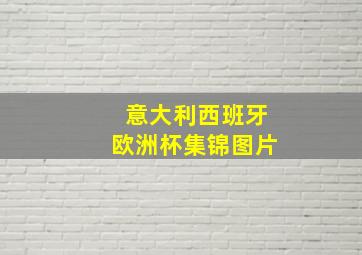 意大利西班牙欧洲杯集锦图片