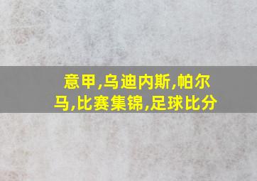 意甲,乌迪内斯,帕尔马,比赛集锦,足球比分