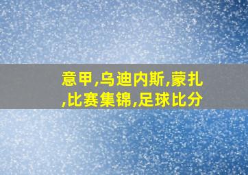 意甲,乌迪内斯,蒙扎,比赛集锦,足球比分