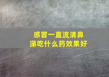 感冒一直流清鼻涕吃什么药效果好