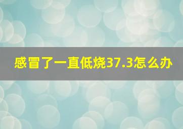 感冒了一直低烧37.3怎么办