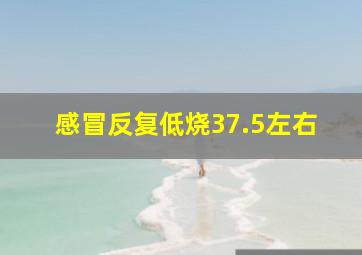 感冒反复低烧37.5左右