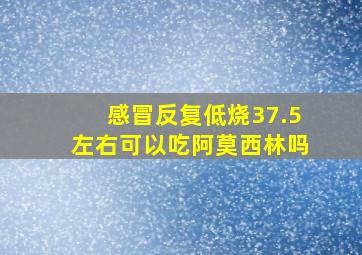 感冒反复低烧37.5左右可以吃阿莫西林吗