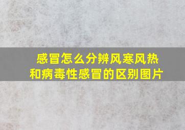 感冒怎么分辨风寒风热和病毒性感冒的区别图片