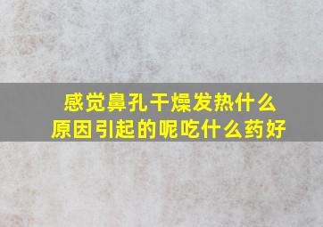 感觉鼻孔干燥发热什么原因引起的呢吃什么药好