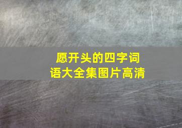 愿开头的四字词语大全集图片高清