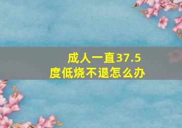 成人一直37.5度低烧不退怎么办