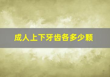 成人上下牙齿各多少颗