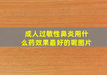 成人过敏性鼻炎用什么药效果最好的呢图片