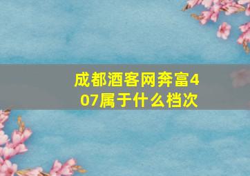 成都酒客网奔富407属于什么档次