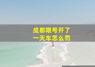 成都限号开了一天车怎么罚