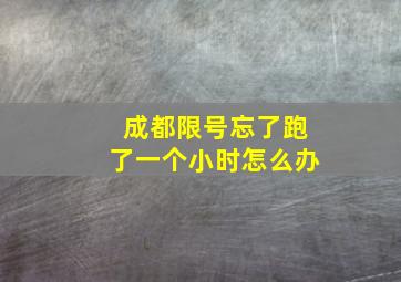 成都限号忘了跑了一个小时怎么办