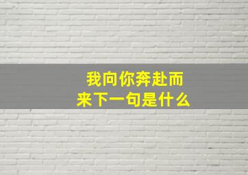 我向你奔赴而来下一句是什么